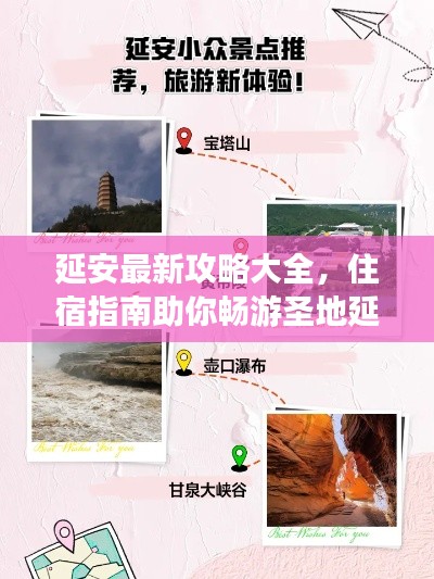 夯雀兒先飛