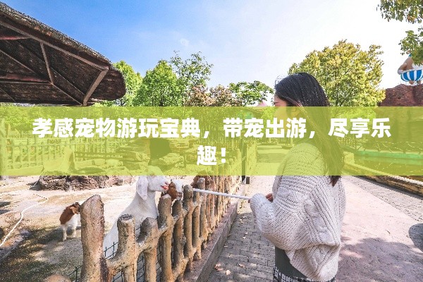 孝感寵物游玩寶典，帶寵出游，盡享樂趣！
