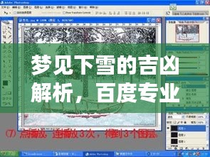 夢(mèng)見下雪的吉兇解析，百度專業(yè)解讀您的夢(mèng)境之謎
