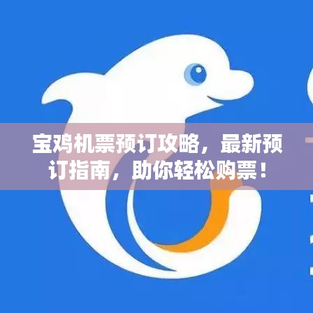 寶雞機(jī)票預(yù)訂攻略，最新預(yù)訂指南，助你輕松購(gòu)票！