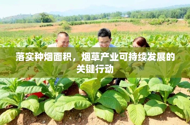 落實種煙面積，煙草產(chǎn)業(yè)可持續(xù)發(fā)展的關鍵行動