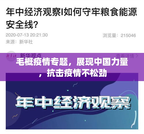 毛概疫情專題，展現(xiàn)中國力量，抗擊疫情不松勁