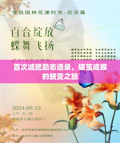 首次減肥勵志語錄，破繭成蝶的蛻變之旅