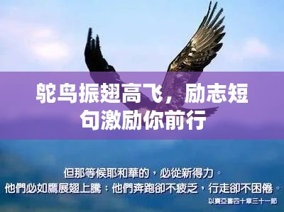 鴕鳥振翅高飛，勵志短句激勵你前行