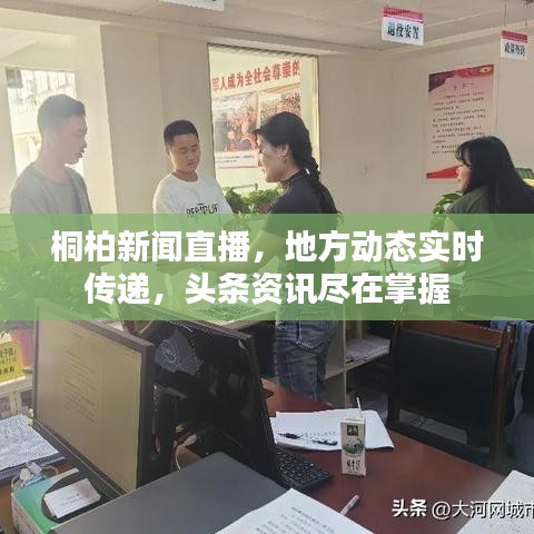 桐柏新聞直播，地方動態(tài)實時傳遞，頭條資訊盡在掌握