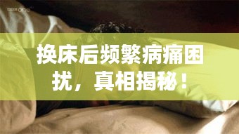 第14頁