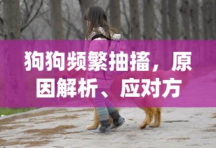 狗狗頻繁抽搐，原因解析、應對方法與關愛重點