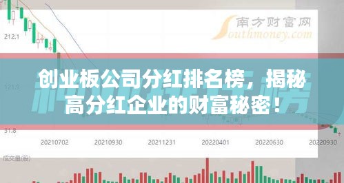 創(chuàng)業(yè)板公司分紅排名榜，揭秘高分紅企業(yè)的財(cái)富秘密！