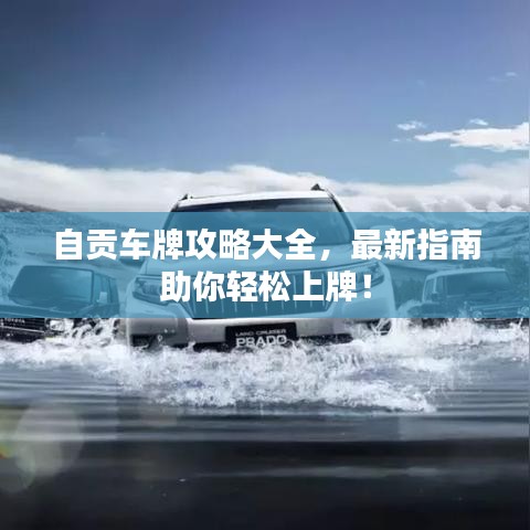 自貢車牌攻略大全，最新指南助你輕松上牌！