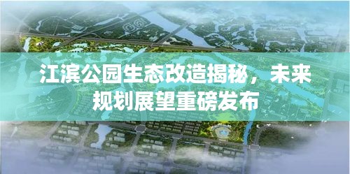 江濱公園生態(tài)改造揭秘，未來規(guī)劃展望重磅發(fā)布
