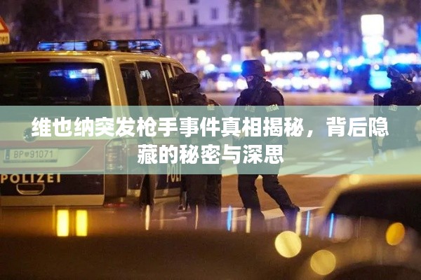 維也納突發(fā)槍手事件真相揭秘，背后隱藏的秘密與深思