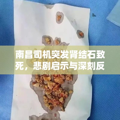 南昌司機(jī)突發(fā)腎結(jié)石致死，悲劇啟示與深刻反思