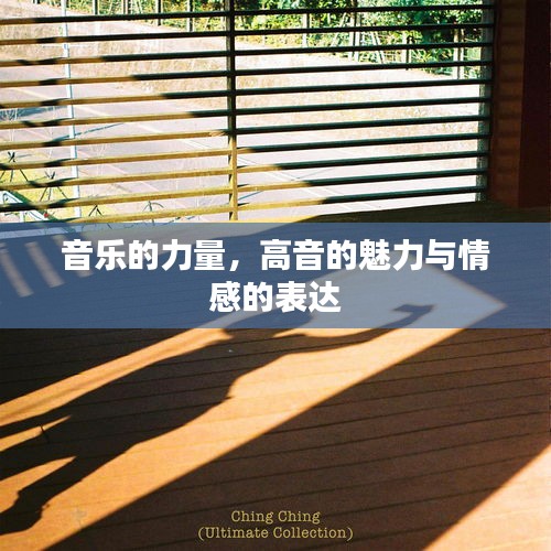音樂(lè)的力量，高音的魅力與情感的表達(dá)