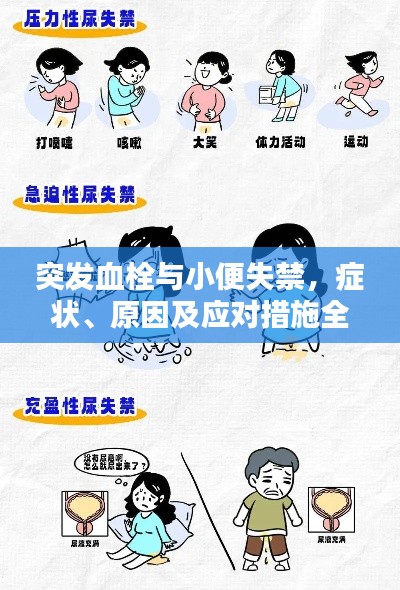 突發(fā)血栓與小便失禁，癥狀、原因及應(yīng)對(duì)措施全解析