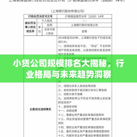小貸公司規(guī)模排名大揭秘，行業(yè)格局與未來趨勢(shì)洞察