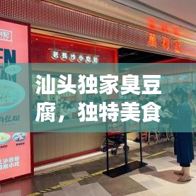 汕頭獨(dú)家臭豆腐，獨(dú)特美食之旅，讓你一吃難忘！