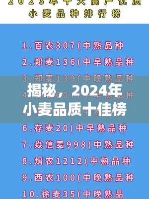 揭秘，2024年小麥品質(zhì)十佳榜單解析