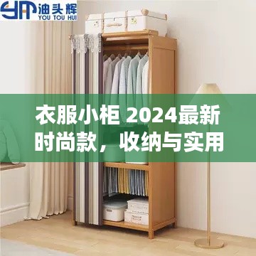 衣服小柜 2024最新時(shí)尚款，收納與實(shí)用性的極致融合