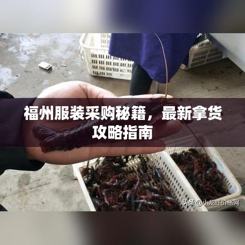 福州服裝采購(gòu)秘籍，最新拿貨攻略指南