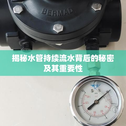 第146頁(yè)