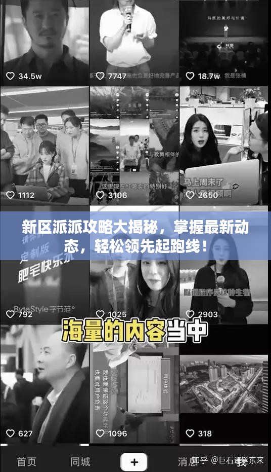 新區(qū)派派攻略大揭秘，掌握最新動態(tài)，輕松領(lǐng)先起跑線！
