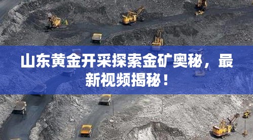 山東黃金開采探索金礦奧秘，最新視頻揭秘！