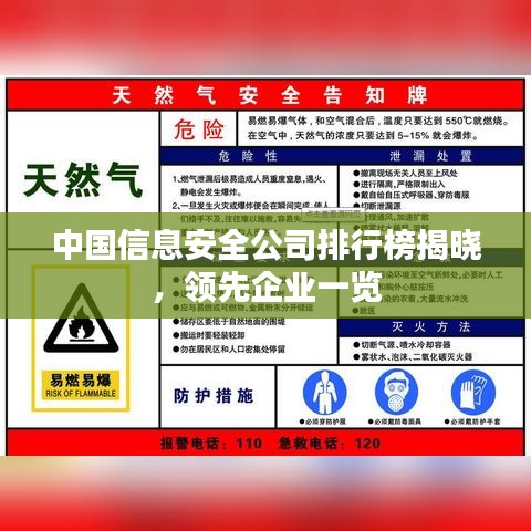 中國信息安全公司排行榜揭曉，領(lǐng)先企業(yè)一覽