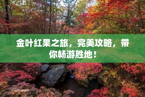 金葉紅果之旅，完美攻略，帶你暢游勝地！
