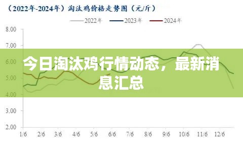 今日淘汰雞行情動態(tài)，最新消息匯總