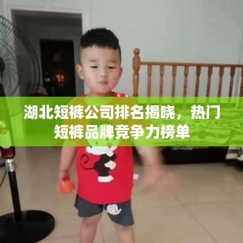 湖北短褲公司排名揭曉，熱門短褲品牌競爭力榜單