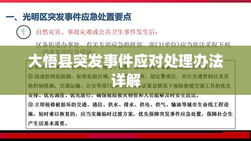 大悟縣突發(fā)事件應對處理辦法詳解