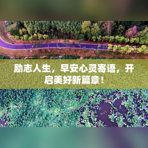 2025年6月1日 第2頁