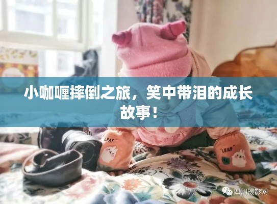 小咖喱摔倒之旅，笑中帶淚的成長故事！