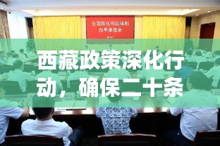 西藏政策深化行動，確保二十條措施落地生根，成效顯著矚目