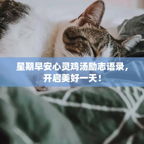 星期早安心靈雞湯勵志語錄，開啟美好一天！