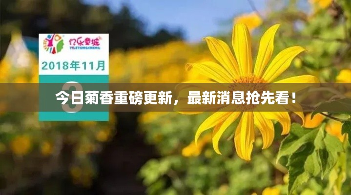 籠中之鳥(niǎo)