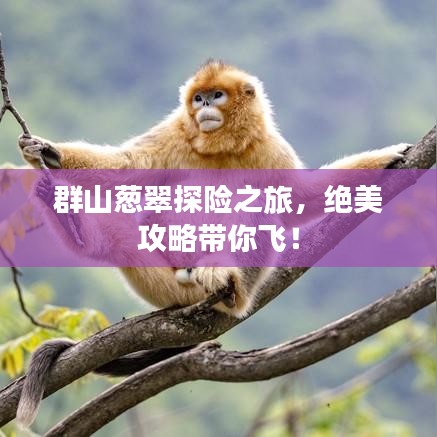 群山蔥翠探險之旅，絕美攻略帶你飛！