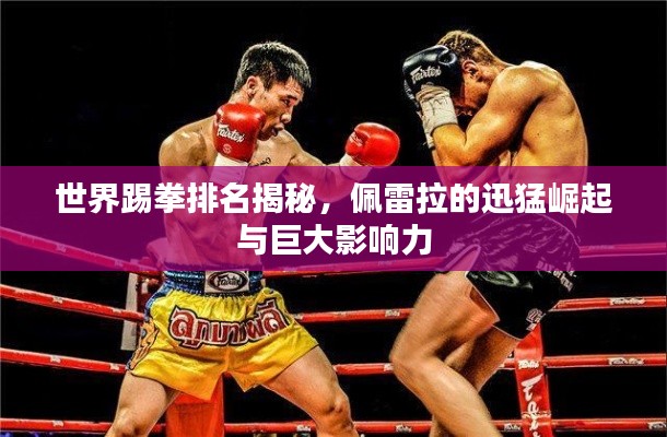 世界踢拳排名揭秘，佩雷拉的迅猛崛起與巨大影響力