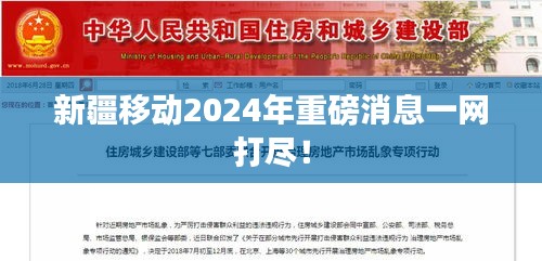 新疆移動2024年重磅消息一網打盡！