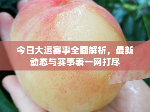 今日大運(yùn)賽事全面解析，最新動(dòng)態(tài)與賽事表一網(wǎng)打盡