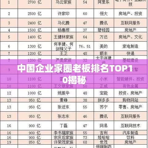 中國(guó)企業(yè)家圈老板排名TOP10揭秘