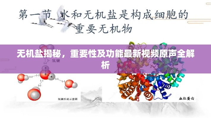 無機(jī)鹽揭秘，重要性及功能最新視頻原聲全解析