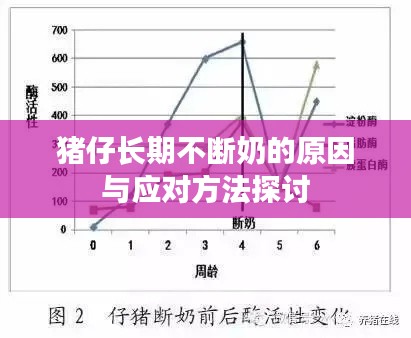 豬仔長期不斷奶的原因與應(yīng)對(duì)方法探討