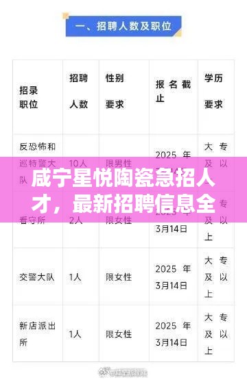 咸寧星悅陶瓷急招人才，最新招聘信息全解析