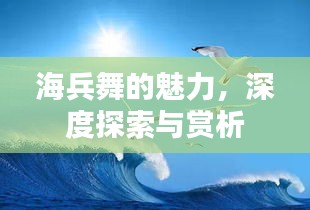 海兵舞的魅力，深度探索與賞析
