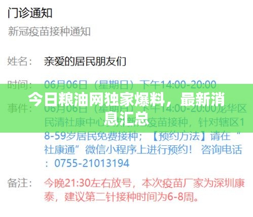 今日糧油網(wǎng)獨(dú)家爆料，最新消息匯總
