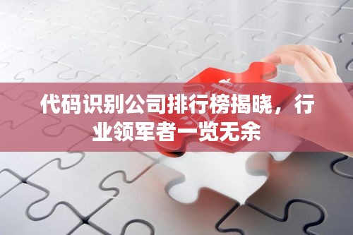 代碼識別公司排行榜揭曉，行業(yè)領(lǐng)軍者一覽無余