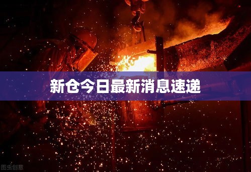 新倉今日最新消息速遞
