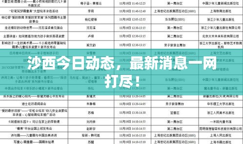 沙西今日動(dòng)態(tài)，最新消息一網(wǎng)打盡！