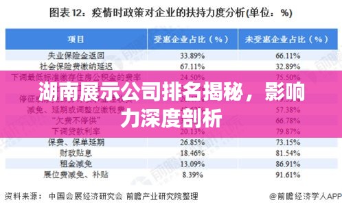 湖南展示公司排名揭秘，影響力深度剖析